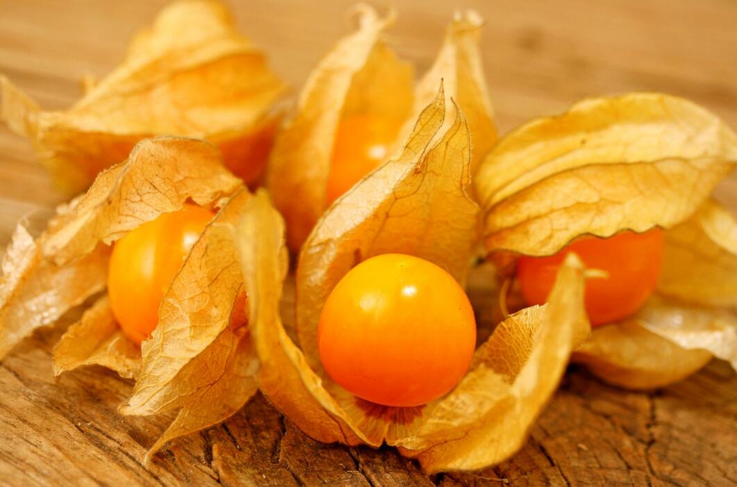 農(nóng)業(yè)自動氣象站助力菇娘規(guī)?；N植